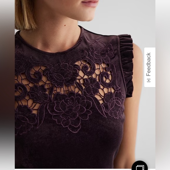 Express Velvet Embroidered Top - Picture 3 of 3
